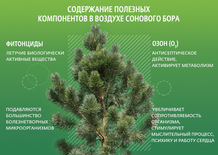 Минеральные источники Тюмени